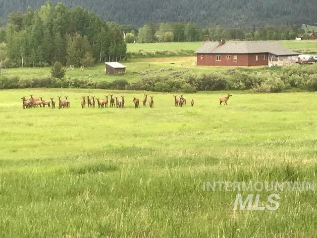 view of community featuring a rural view, a lawn, and a mountain view