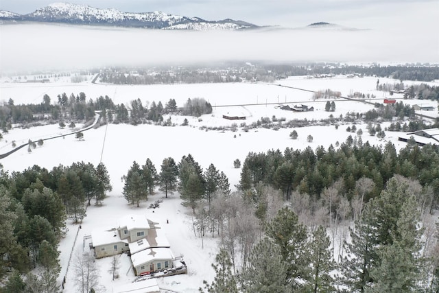 snowy aerial view featuring a mountain view