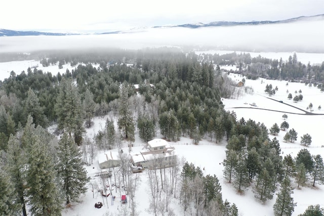 snowy aerial view with a mountain view