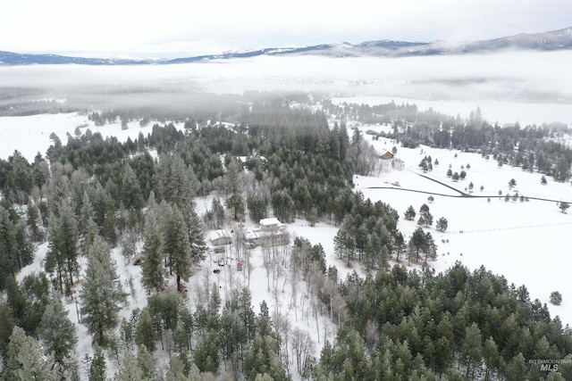 snowy aerial view with a mountain view