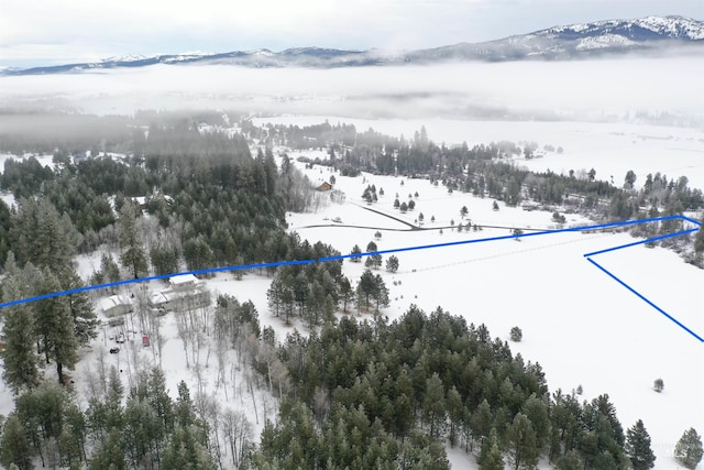 snowy aerial view featuring a mountain view