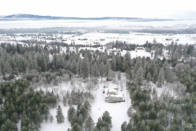 snowy aerial view featuring a water and mountain view