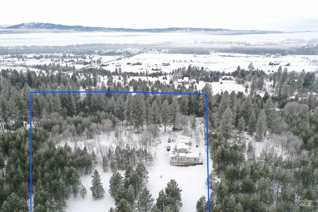 snowy aerial view featuring a mountain view