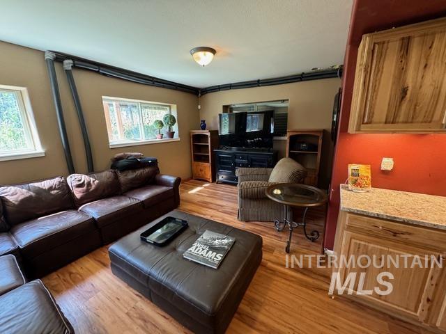 living room with plenty of natural light and light hardwood / wood-style flooring