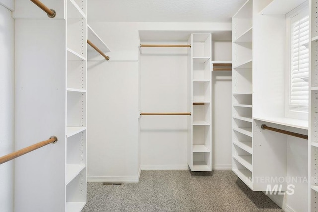 2500 W Orchard Ave, Nampa, ID 83651 - spacious closet featuring carpet flooring