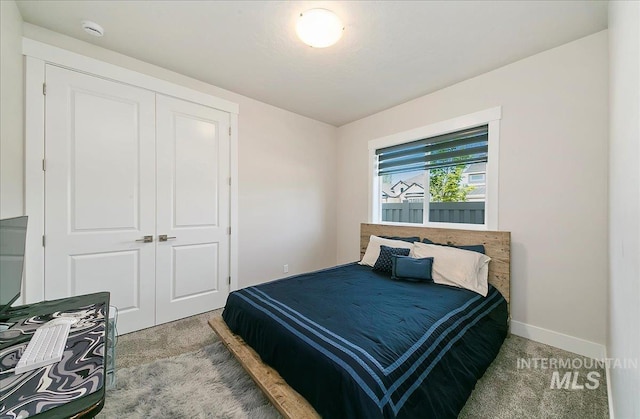 4603 S Hennessy Ave, Meridian, ID 83642 - bedroom with light colored carpet and a closet