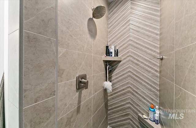 4603 S Hennessy Ave, Meridian, ID 83642 - detailed view of tiled shower