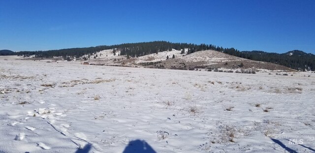 TBD Titus Ln, Mccall, ID 83638