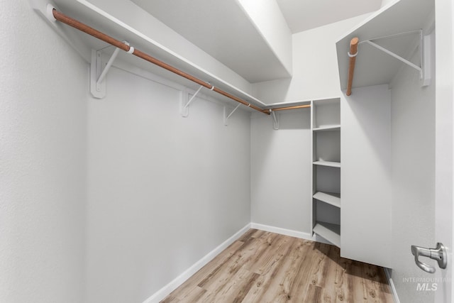 315 Bard Ave, Middleton, ID 83644 - spacious closet featuring light wood-type flooring