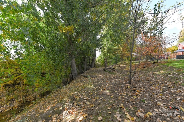 315 Bard Ave, Middleton, ID 83644 - view of yard