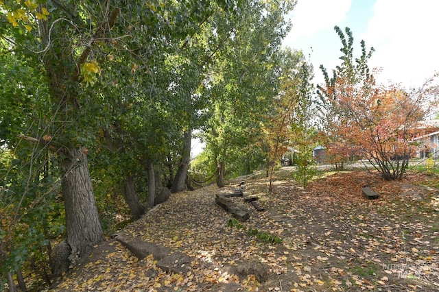 315 Bard Ave, Middleton, ID 83644 - view of yard