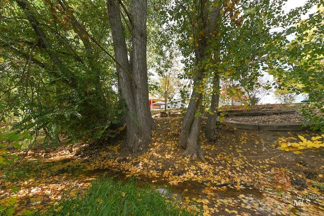 315 Bard Ave, Middleton, ID 83644 - view of yard