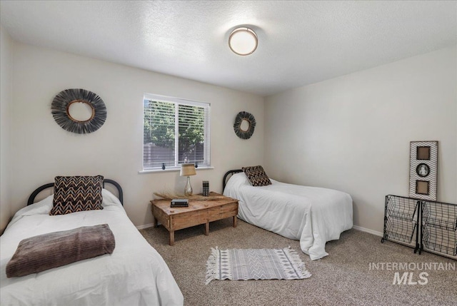 1827 Targhee Dr, Twin Falls, ID 83301 - bedroom featuring carpet and a textured ceiling