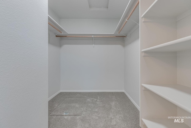 11922 W Box Canyon St, Star, ID 83669 - walk in closet featuring carpet flooring