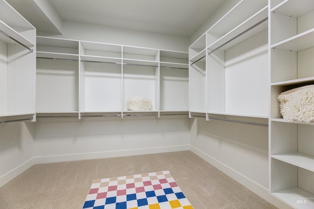 55 E State St Unit 303, Eagle, ID 83616 - spacious closet featuring light colored carpet