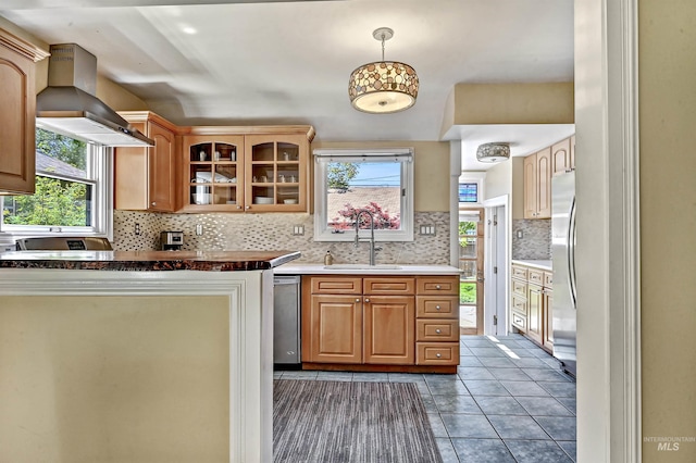 913 N 22nd St, Boise, ID 83702 - kitchen featuring wall chimney range hood, appliances with stainless steel finishes, a sink, tasteful backsplash, and glass insert cabinets