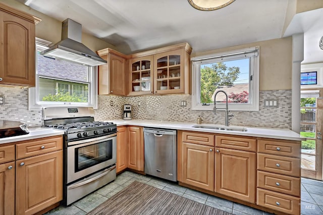 913 N 22nd St, Boise, ID 83702 - kitchen with appliances with stainless steel finishes, wall chimney range hood, a sink, and healthy amount of natural light