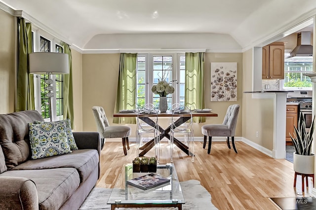 913 N 22nd St, Boise, ID 83702 - living room with vaulted ceiling, light wood-style flooring, and baseboards