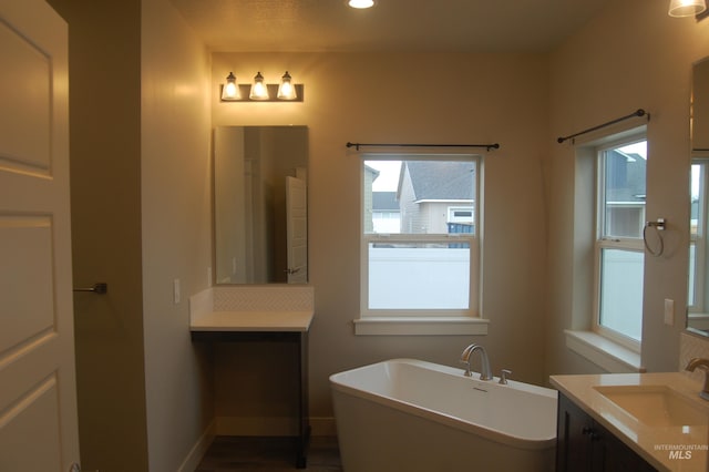 bathroom featuring vanity, a healthy amount of sunlight, and a bathing tub