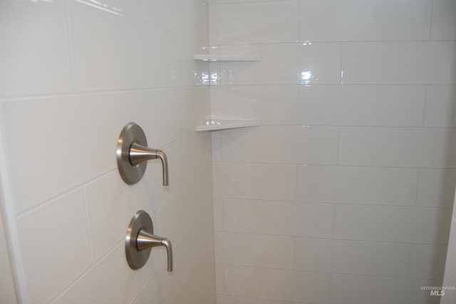 room details with tiled shower