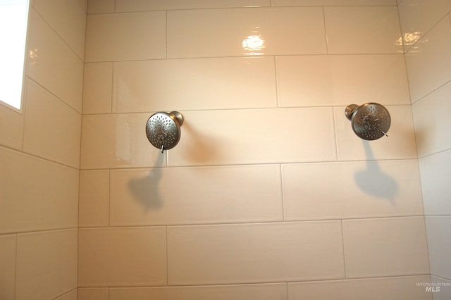 room details featuring walk in shower