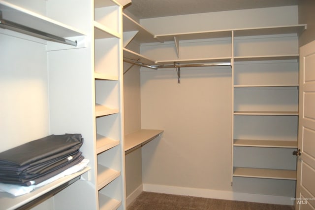 walk in closet with dark carpet