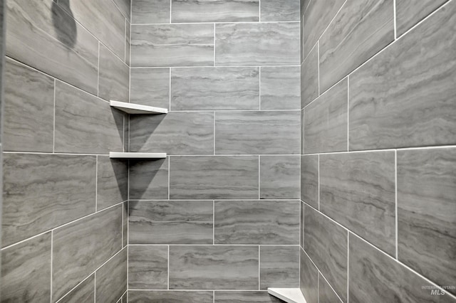 interior details with tiled shower