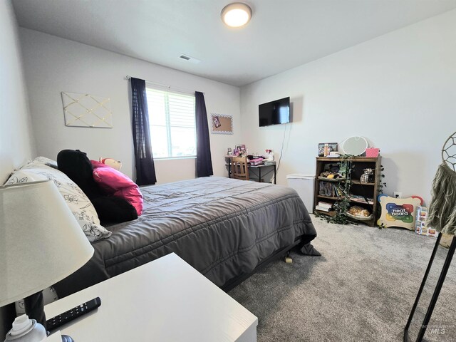 19339 Susquehanna Way, Caldwell, ID 83605 - view of carpeted bedroom