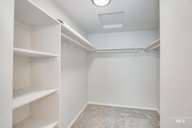 19339 Susquehanna Way, Caldwell, ID 83605 - spacious closet with carpet