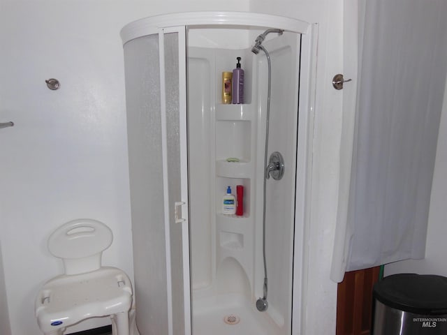 3695 W Mountain Rd, Anatone, WA 99401 - bathroom featuring a shower stall