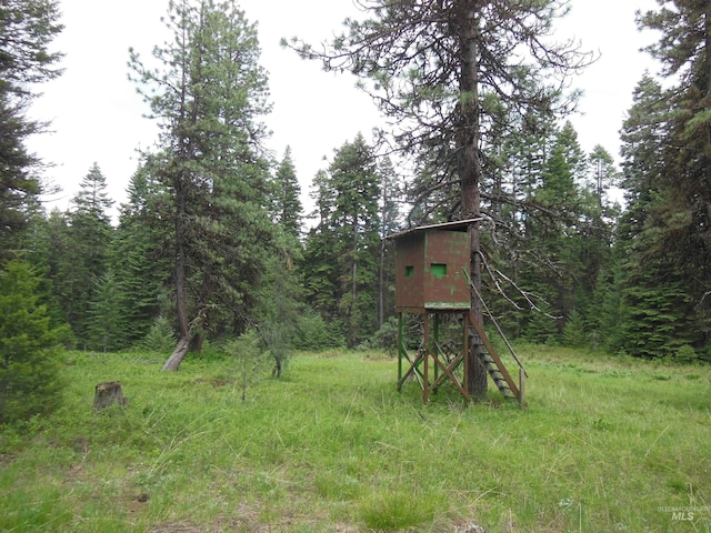 3695 W Mountain Rd, Anatone, WA 99401 - view of yard with a wooded view