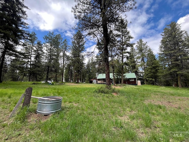 3695 W Mountain Rd, Anatone, WA 99401 - view of yard