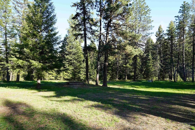 3695 W Mountain Rd, Anatone, WA 99401 - view of green lawn featuring a wooded view