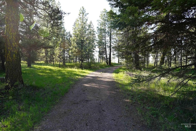 3695 W Mountain Rd, Anatone, WA 99401 - view of road