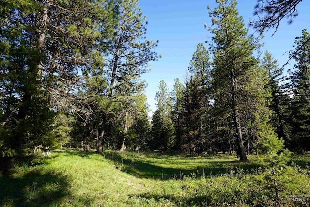 3695 W Mountain Rd, Anatone, WA 99401 - view of wooded area