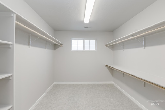 walk in closet with visible vents and carpet floors