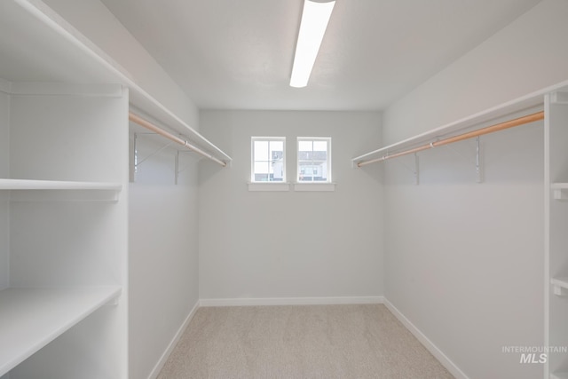 spacious closet with carpet flooring