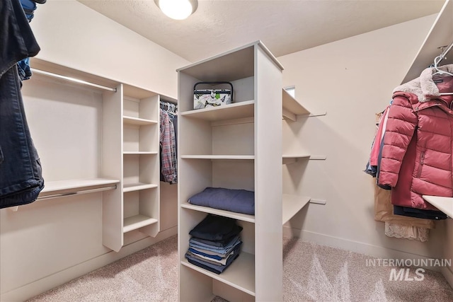 2479 N Devlin Ave, Meridian, ID 83646 - walk in closet with carpet floors