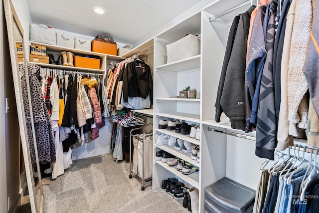 6086 S Sachet Ave, Meridian, ID 83642 - spacious closet with carpet floors