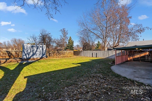 view of yard with a patio area and a storage shed