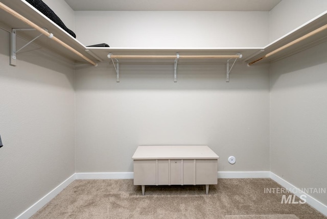 walk in closet with light colored carpet