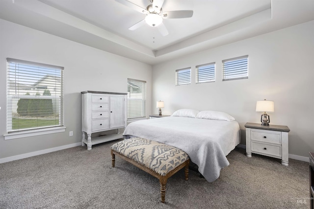 1010 Blueridge Dr, Kimberly, ID 83341 - bedroom with a raised ceiling, carpet, and a ceiling fan