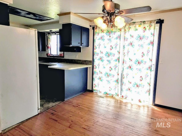 kitchen with ceiling fan, crown molding, white refrigerator, and light hardwood / wood-style flooring