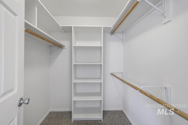 walk in closet with carpet flooring