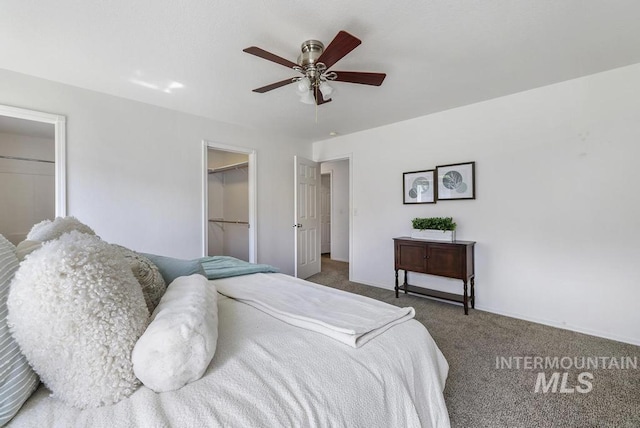 bedroom featuring a closet, a walk in closet, ceiling fan, carpet, and baseboards