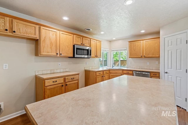 7362 S Shadowmoss Ave, Boise, ID 83709 - kitchen featuring stainless steel appliances, a sink, recessed lighting, baseboards, and dark wood-style flooring