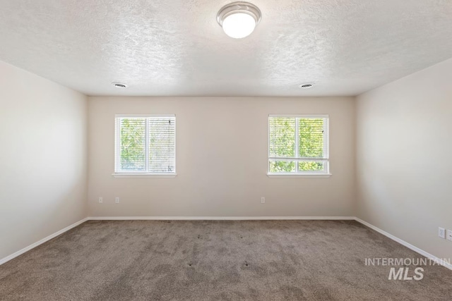 7362 S Shadowmoss Ave, Boise, ID 83709 - empty room with a textured ceiling, carpet flooring, healthy amount of natural light, and baseboards