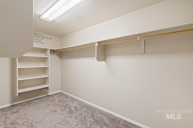 7362 S Shadowmoss Ave, Boise, ID 83709 - spacious closet featuring carpet flooring
