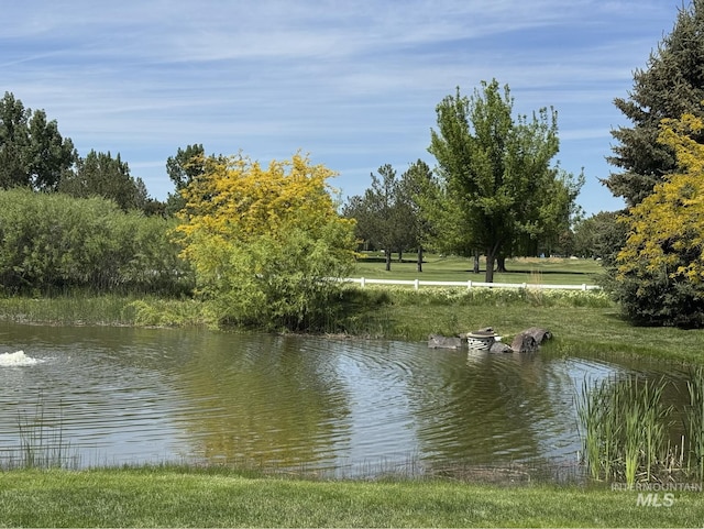 7362 S Shadowmoss Ave, Boise, ID 83709 - water view