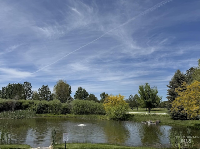 7362 S Shadowmoss Ave, Boise, ID 83709 - water view